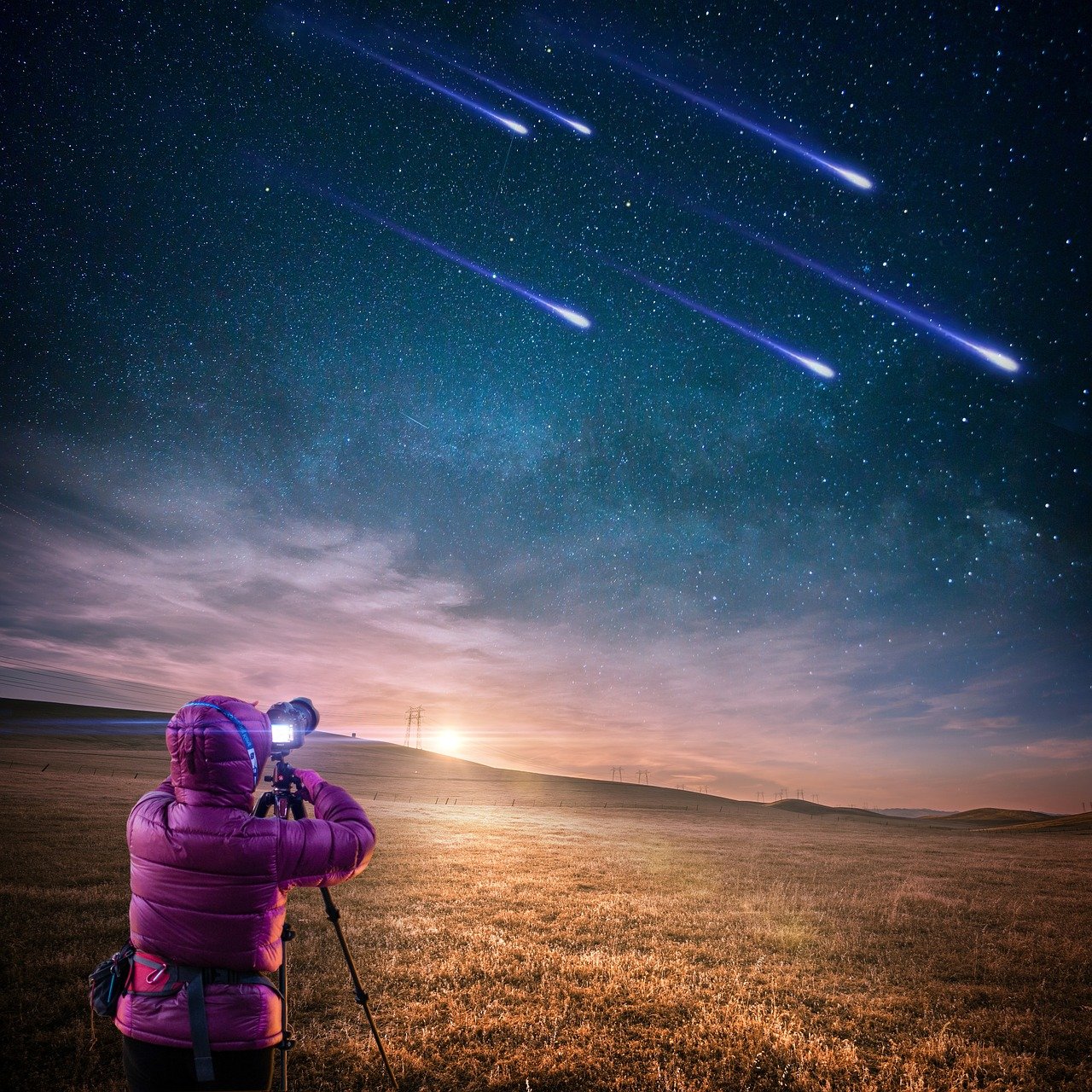 五月星光璀璨，低学历明星的逆袭之路